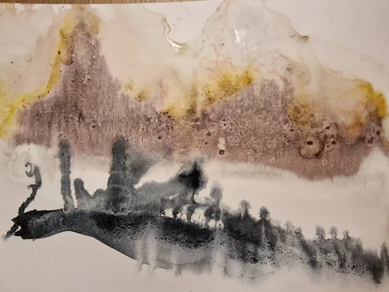 Galeriebild 8