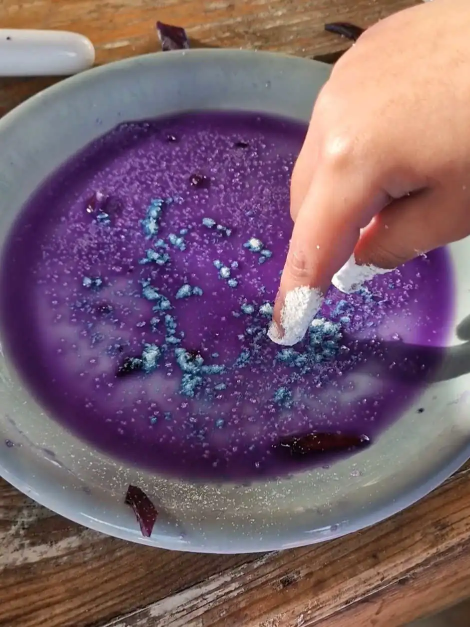 Pflanzenaquarelle herstellen